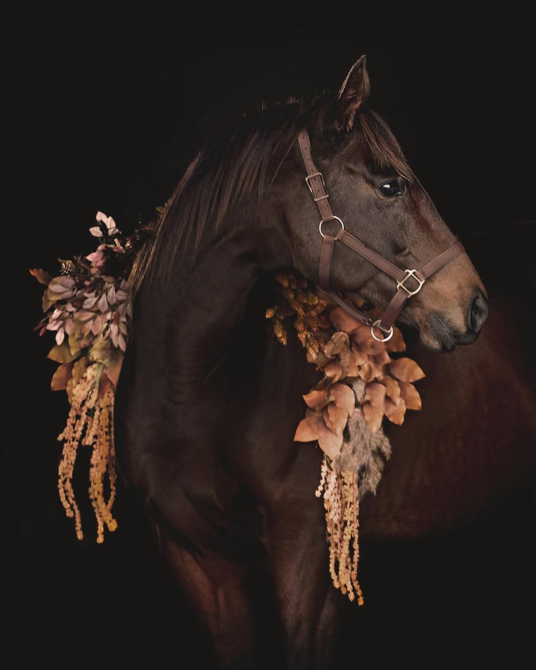 Horse with floral garland